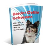 Border Collie Geheimen